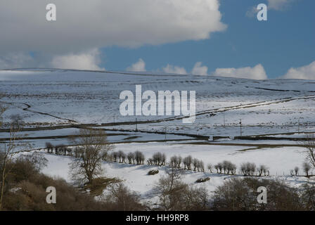 Snow covered dales in County Durham showing line of trees crossing a field and background of moors Stock Photo