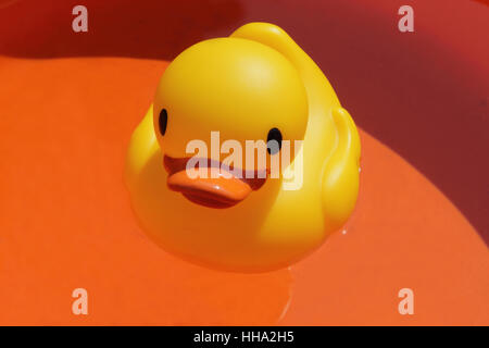 Toy duck plastic synthetic material hi-res stock photography and images -  Page 2 - Alamy
