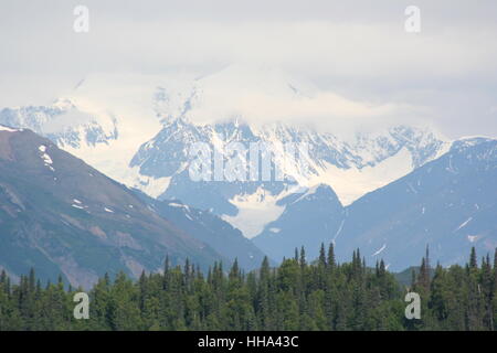 mountains, wood, pine, snow, coke, cocaine, material, drug, anaesthetic, Stock Photo