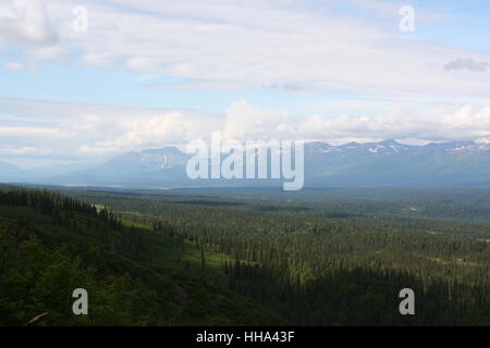 mountains, wood, pine, snow, coke, cocaine, material, drug, anaesthetic, Stock Photo