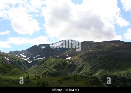 mountains, wood, pine, snow, coke, cocaine, material, drug, anaesthetic, Stock Photo