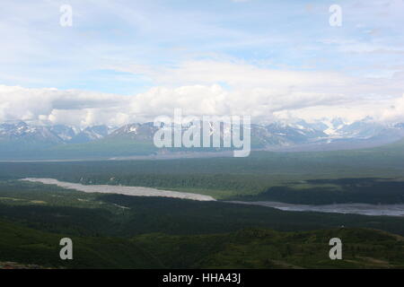 mountains, wood, pine, snow, coke, cocaine, material, drug, anaesthetic, Stock Photo