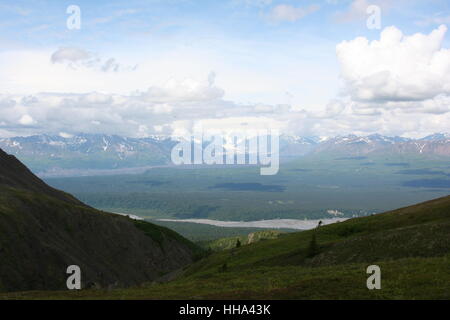 mountains, wood, pine, snow, coke, cocaine, material, drug, anaesthetic, Stock Photo