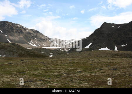 mountains, wood, pine, snow, coke, cocaine, material, drug, anaesthetic, Stock Photo