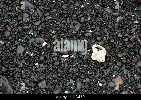 colored stones shells and seaweed on the shore, abstract nature background Stock Photo