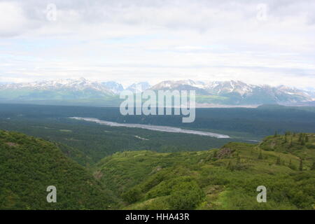 mountains, wood, pine, snow, coke, cocaine, material, drug, anaesthetic, Stock Photo