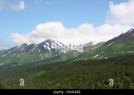 mountains, wood, pine, snow, coke, cocaine, material, drug, anaesthetic, Stock Photo