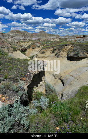 The Badlands, Dinosaur Provincial Park, Alberta, Canada Stock Photo