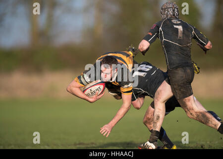 Sherborne RFC 1st XV vs Marlborough RFC 1st XV Marlborough player in action being tackled. Stock Photo