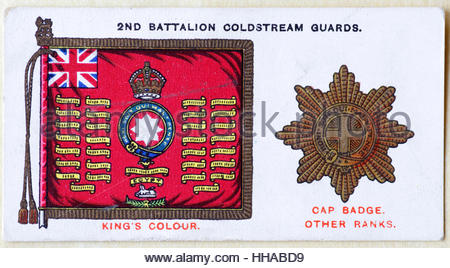 2nd Battalion Coldstream Guards regimental standard and cap badge Stock Photo