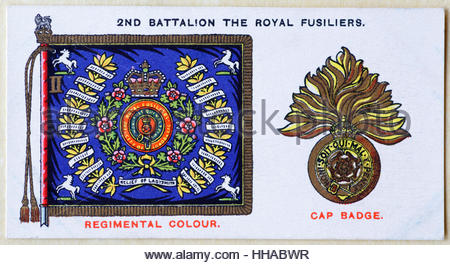 2nd Battalion The Royal Fusiliers regimental standard and cap badge Stock Photo