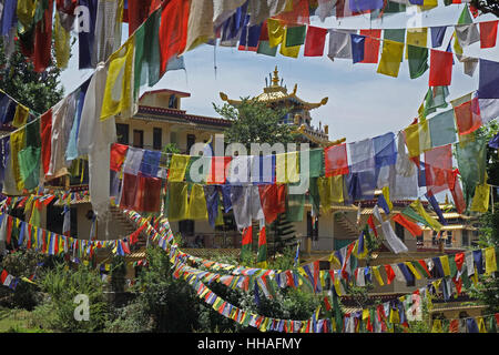 Prayer flags at Rewalsar Lake, Himachal Pradesh, India. Stock Photo