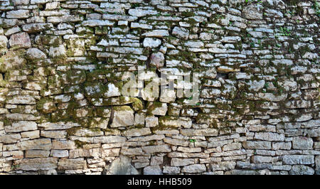 Moss stone wall background Stock Photo
