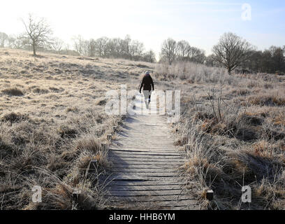 A woman walks across the heathlands on a frosty start to the day in Hothfield, Kent after overnight temperatures in the south-east of England dropped below freezing. Stock Photo