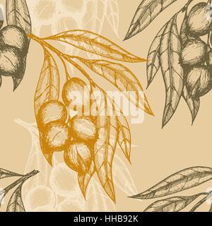 Seamless pattern based on engraving illustration of macadamia branches with nuts and leaves. Vector illustration Stock Vector