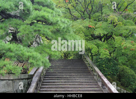 Rain covered trees over stone steps within the kiyomizu dera temple in kyoto japan on an overcast rainy day. Stock Photo