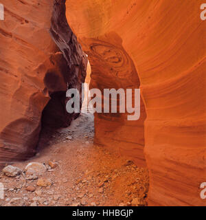 sandstone slot canyon in little death hollow near escalante, utah Stock Photo