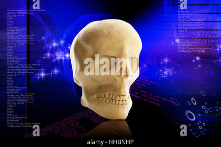 graphics, colour, face, illustration, skull, imagination, digital, skeleton, Stock Photo