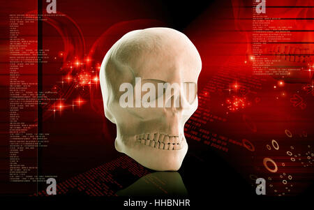 graphics, colour, face, illustration, skull, imagination, digital, skeleton, Stock Photo