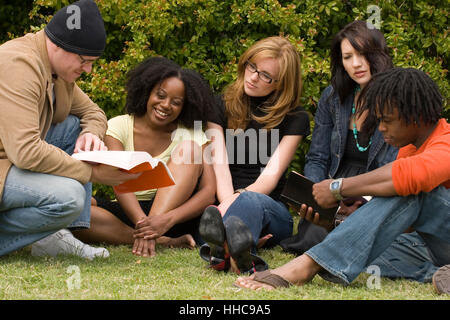 Diverse group of people reading and studying. Stock Photo