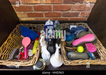 Domestic horse. Grooming kit. Great Britain Stock Photo