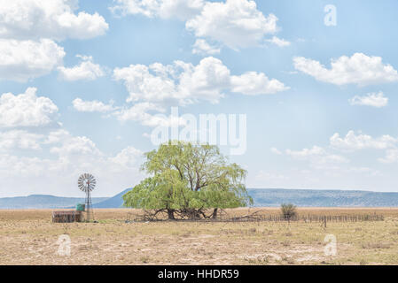 A water-pumping windmill, dam, kraal and willow tree near Jagersfontein, a diamond mining town in the Free State Province of South Africa Stock Photo