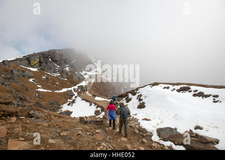 Hiking in the mist on the trail between Sian Gompa and Gosainkund in the Langtang region, Nepal Stock Photo