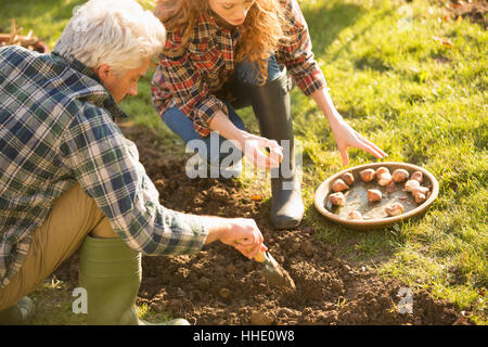 Couple gardening digging planting bulbs in sunny autumn garden Stock Photo