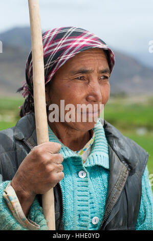 A Ladakhi farmer from the Nubra Valley in the northern most part of India, Ladakh, India Stock Photo