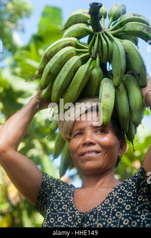 A woman carries freshly harvested bananas on her head, Chittagong Hill Tracts, Bangladesh Stock Photo