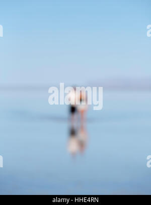 Blurred focus image of two people standing on flooded Bonneville Salt Flats, Utah Stock Photo