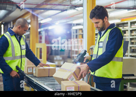 Workers scanning and processing boxes on conveyor belt in distribution ...