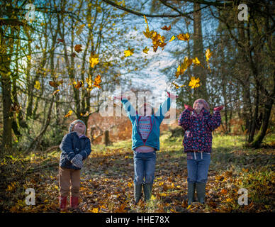 joy of children enjoying falling leaves in Autumn Stock Photo