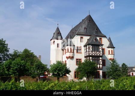 Schoenborn castle, Geisenheim, Rheingau Region, Hesse, Germany Stock ...