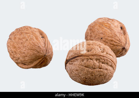 Walnuts isolated on a white background Stock Photo