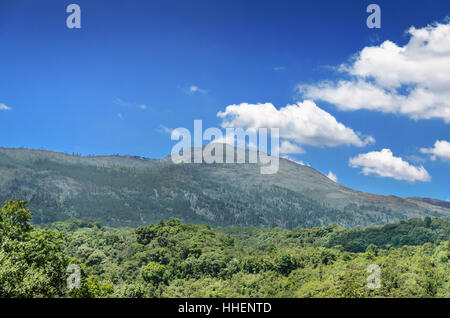 Landscape: Summer mountains with green grass and dark blue cloudy sky on a beautiful sunny day in Santa Catarina, Brazil Stock Photo