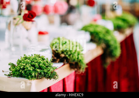 Decoration Decorative Grass In Candy Bar On Table. Wedding Decorations Stock Photo