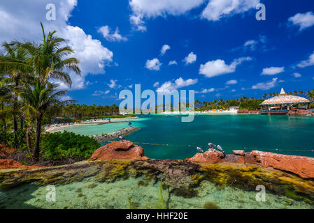 Beach with palm trees and crystal clear water in natural light Stock Photo