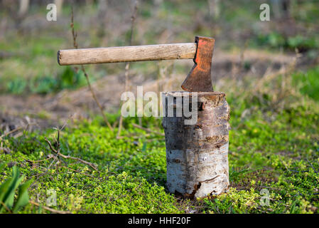 Ax on the stump in natural light Stock Photo