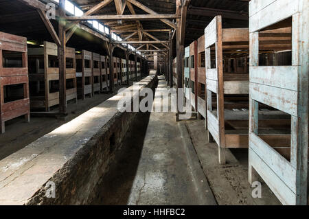 Interior of a wooden hut one of the few surviving women's sleeping quarters with bunk beds at Auschwitz 11-Birkenau near Oswiecim in Poland Stock Photo