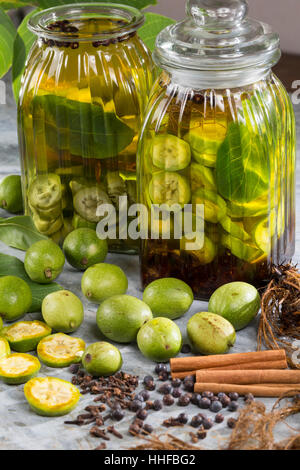 Walnuß-Schnaps, Walnuss-Schnaps, Schnaps mit Walnuß, Walnuss, Walnuß, Wal-Nuss, Wal-Nuß, Juglans regia, Walnut. Heilschnaps, Heilschnäpse, Kräuterschn Stock Photo