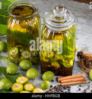 Walnuß-Schnaps, Walnuss-Schnaps, Schnaps mit Walnuß, Walnuss, Walnuß, Wal-Nuss, Wal-Nuß, Juglans regia, Walnut. Heilschnaps, Heilschnäpse, Kräuterschn Stock Photo