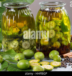 Walnuß-Schnaps, Walnuss-Schnaps, Schnaps mit Walnuß, Walnuss, Walnuß, Wal-Nuss, Wal-Nuß, Juglans regia, Walnut. Heilschnaps, Heilschnäpse, Kräuterschn Stock Photo