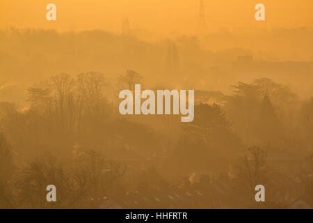 Wimbledon London, UK. 19th Jan, 2017. Wimbledon treescape bathed in misty morning sunshine as London is put on alert for a public health emergency due to toxic smog.Credit: amer ghazzal/Alamy Live News Stock Photo