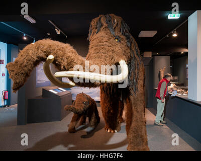 wooly mammoth, Helms-Museum = Archaeological  Museum Hamburg, Germany Europe Stock Photo