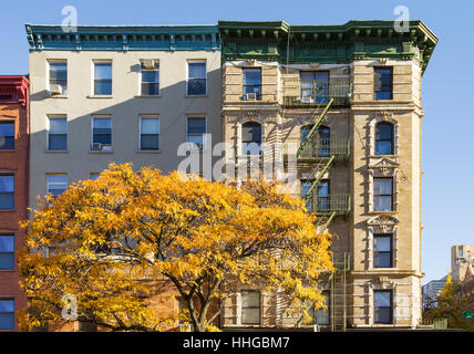 Colorful fall tree with golden leaves in front of an old apartment building on 2nd Avenue in the East Village of Manhattan, New York City Stock Photo