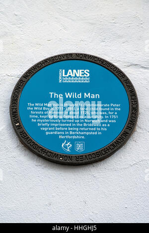 NORWICH, UK - JANUARY 17TH 2017: A blue plaque located in Norwich detailing the location and history of The Wild Man pub. Stock Photo