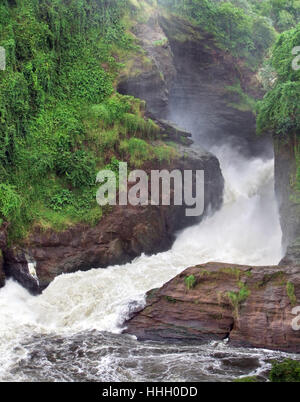 africa, uganda, dash, go quickly, fast, quick, quickly, speed, velocity, nile, Stock Photo