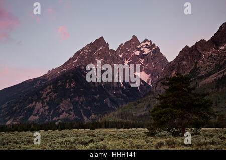 WYOMING - Sunrise on the Cathedral Group composed of Teewinot Mountain, The Grand and Mount Owen in Grand Teton National Park. Stock Photo