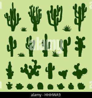 Cactus set vector design illustration isolated on white background 1844289  Vector Art at Vecteezy